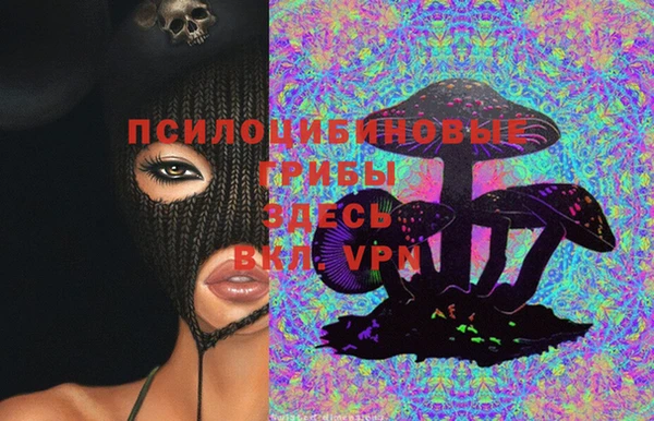 крисы Верхний Тагил
