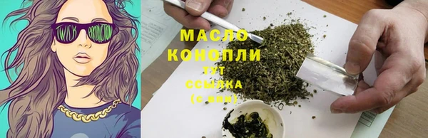 крисы Верхний Тагил