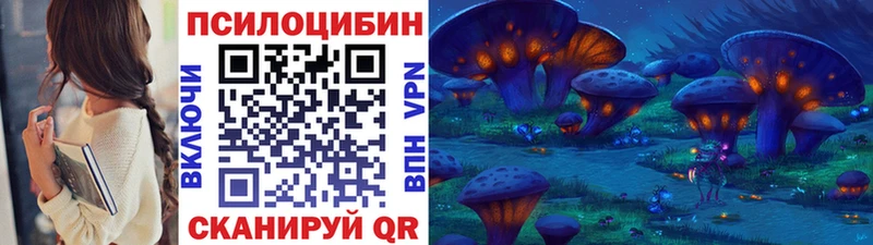 Галлюциногенные грибы Cubensis mega tor Волоколамск